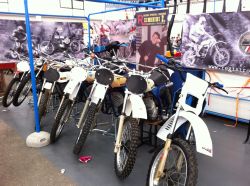 IMG_0466_ico